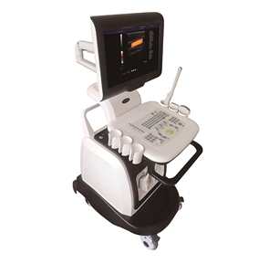 Máquina de Ultrasonido Veterinaria Portátil de Bajo Precio OEM, Sistema de Ultrasonido, Precio Directo de Fábrica - Product Image 5