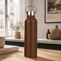 Bouteille isotherme personnalisée avec logo, vente en gros, 350 ml, gobelet en acier inoxydable 304 avec poignée de transport en métal