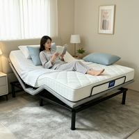 Cadre de lit complet de luxe en gros, en fer de haute qualité, inclinable et réglable avec télécommande pour chambre et appartement