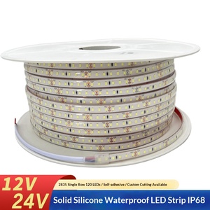 LED Şerit Işıklar <span class=keywords><strong>12V</strong></span>/24V Silikon Esnek Şerit Işık IP68 Su Geçirmez CRI80 2835 LED'ler Peyzaj Göletleri Akvaryumlar Dekoratif - Product Image 1