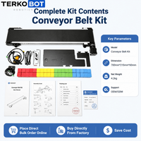 Kit Sabuk Konveyor Mini DT-AC-CB070-02E dengan Sensor Jarak Warna untuk Pelatihan Otomasi STEM Lengan Robot Edukasi Desktop