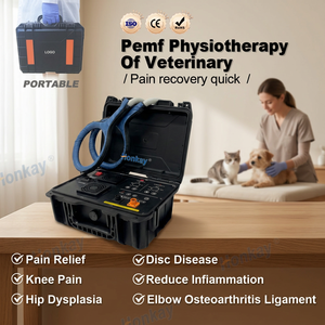 Appareil de massage PEMF pratique et très vendu pour réduire l'enflure des tissus, machine de massage PEMF pour animaux pour usage domestique - Product Image 1