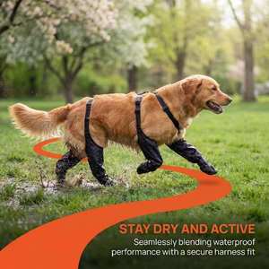Botas Impermeables Antideslizantes para Perros, para Caminatas en la Nieve, para Exteriores, Resistentes a la Suciedad, Ajustables, con Suela de Goma, para Perros Pequeños y Medianos - Product Image 5