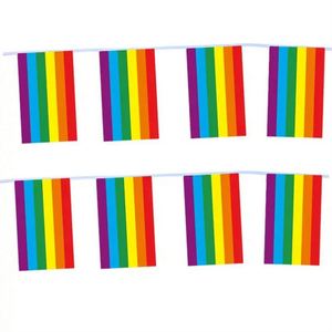 100% Polyester Material Custom Design Rainbow Lgbt Gay Pride String <b>Flag</b> Bunting <b>Flags</b> - Product Image 3