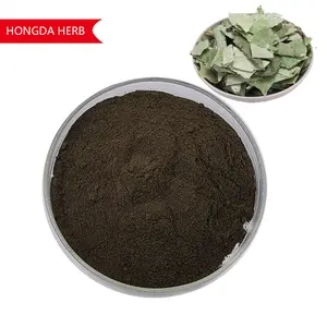 HONGDA Supply Men Sex Health Damiana Leaf Powder Damiana Leaf Extract Damiana Leaf