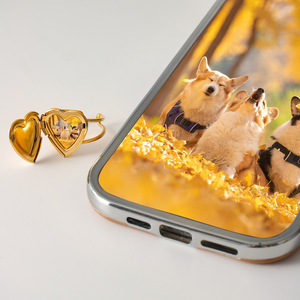 2025 saint valentin médaillon coeur anneau Photo boîte anneau ouvert 18K plaqué or acier inoxydable anneau mode <span class=keywords><strong>bijoux</strong></span> pour femmes filles - Product Image 4