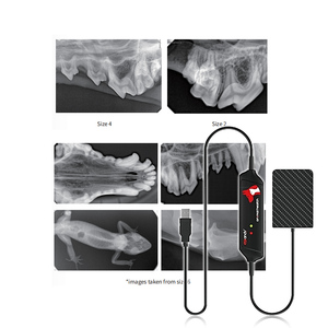 Grande taille 4 # produits à usage vétérinaire plaque de capteur de rayons <span class=keywords><strong>X</strong></span> dentaire grande pour animaux de compagnie animaux - Product Image 3