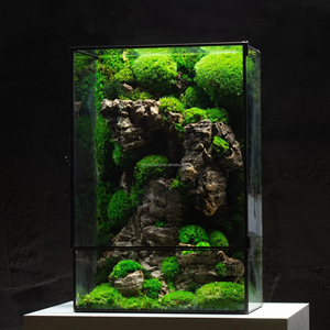 Glass Plant Terrarium Preserved <strong>Moss</strong> Micro-Landscape Preserved <strong>Moss</strong> Glass Terrarium for Home Garden Office Tabletop Decoration - Product Image 5