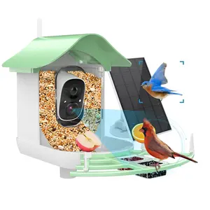 High Quality Outdoor Waterproof Solar Charging HD 1080p Night Vision Video Smart Bird Feeder with app