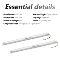 Module de batterie Ni-Cd 12V 4000mAh 48Wh pour éclairage de sécurité mural, type bâton long, pour signalisation de sortie, couloir, escalier, route d'évacuation