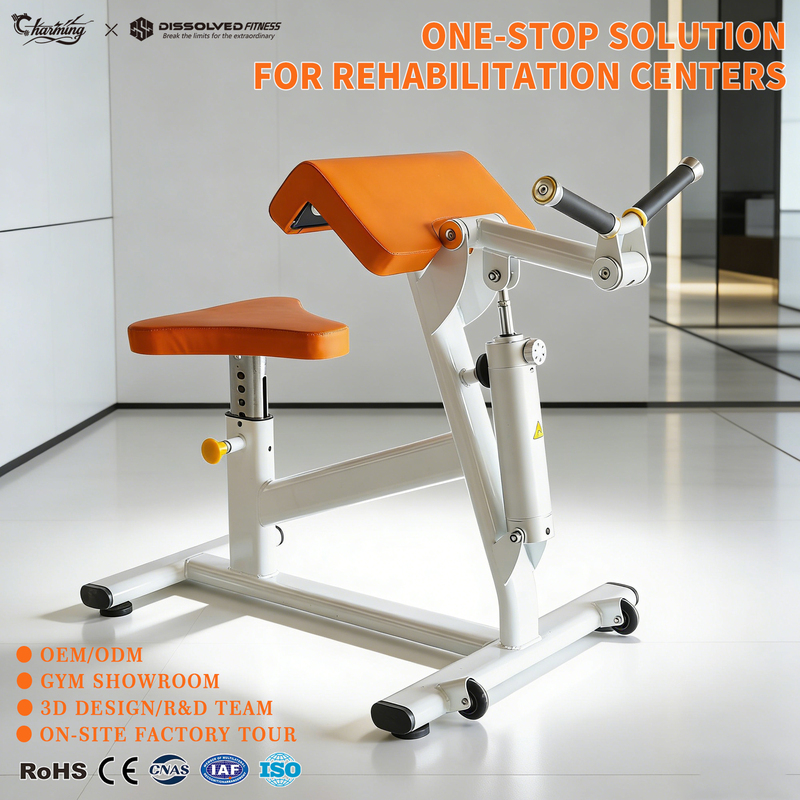 Sports Rehabilitation Gear Plate Loaded Rehabilitation