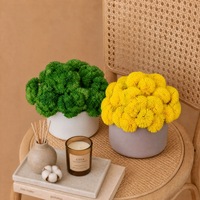 Plantes artificielles de haute qualité en plastique souple, texture riz, fruits et succulentes, faites à la main, respectueuses de l'environnement, pour décoration de mariage et événements festifs