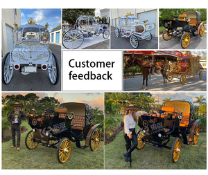 OEM Kalesa Sightseeing Horse Carriage Horse Wagon for Outdoor Sport - Product Image 2