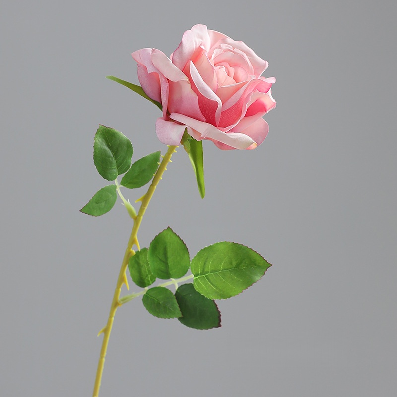 Fuchsia Pink