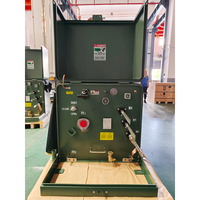 Transformateur monté sur socle Hentg 500kVA 750kVA 1000kVA 2500kVA 12.47kV 13.2kV 24kV 33kV à alimentation radiale frontale sous tension pour usage industriel