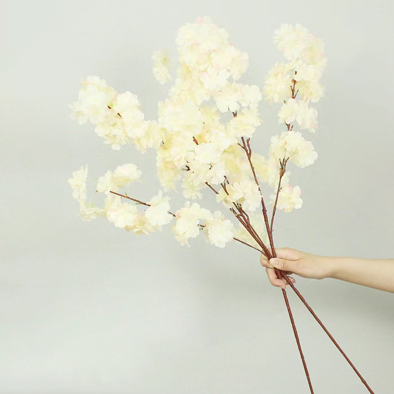 0.branch