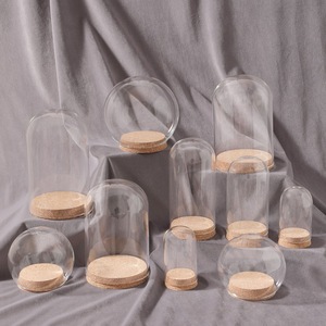 Fleur préservée liège couvercle en verre Transparent saint valentin cadeau décoration dôme avec base en bois doux - Product Image 4