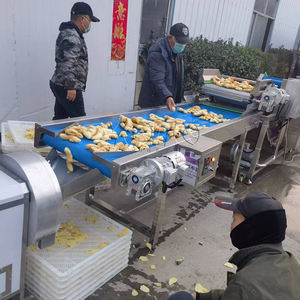 เครื่องขูดน้ำขิงเครื่องบดขมิ้นสำหรับทำผงขมิ้น - Product Image 4