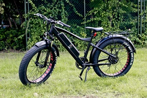 caliente de alta potencia de alta calidad de motor de cubo sin escobillas ebike grasa de neumáticos de bicicleta eléctrica - Product Image 6