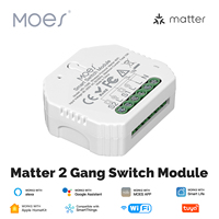 Module d'interrupteur WiFi MOES Tuya Matter 2 Gang, relais intelligent d'automatisation, minuterie, application de contrôle à distance, compatible avec Alexa, Google Home, Apple
