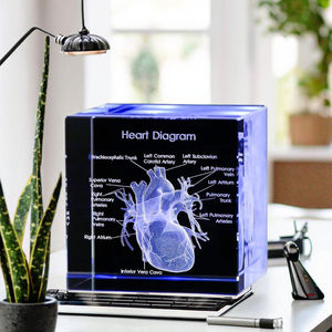 Человеческое сердце k9 кристалл куб <span class=keywords><strong>3d</strong></span> лазерная гравировка Анатомическое Сердце стекло кристалл модели для науки медиальный хирург подарки - Product Image 1