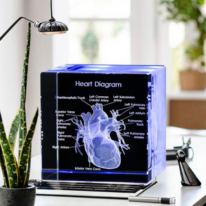 Human Heart K9 Crystal Cube 3d Laser Engraving Anatomical Heart Glass Crystal Models Craft for Science Medial Surgeon Gifts