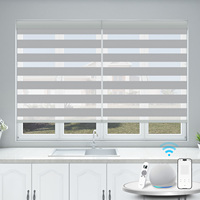 Persianas Enrollables Verticales Inteligentes Google Home, Integradas, Eléctricas, Impermeables, con Protección UV, Opacas, para Ventanas Francesas, Móviles