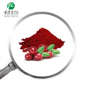 厂家价格蔓越莓提取物花青素25% Vaccinium Macrocarpon提取物蔓越莓提取物粉末