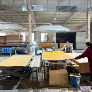 Contreplaqué à âme pleine en peuplier E1 à faibles émissions pour l'aménagement intérieur <span class=keywords><strong>et</strong></span> l'usage général en UE <span class=keywords><strong>et</strong></span> au Royaume-Uni - Product Image 2