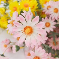 Bunga Daisy Sutra Buatan dengan Batang Panjang 75cm, Krisan Palsu untuk Rangkaian Bunga, Tersedia Kustomisasi Grosir dalam Jumlah Besar.