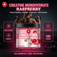 Gummies de créatine monohydrate OEM à la framboise, 120 unités, haute absorption pour le développement musculaire, la force, l'endurance, la salle de sport, personnalisables