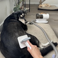 Aspirateur portable en plastique AIRROBO PG100 avec prise US, brosse de toilettage pour animaux de compagnie, tondeuse à poils, rasoir, éliminateur de poils, tondeuse à poils pour chiens