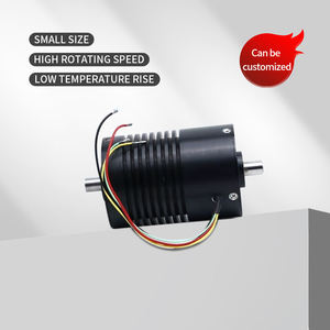 Высококачественный бесщеточный двигатель постоянного тока BLDC 30000 об/мин 48В, микро-двигатель BLDC IE4, прямые поставки от производителя - Product Image 6