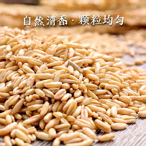 जैविक ओएट खाट थोक थोक थोक थोक थोक कुल तेल अनाज उच्च फाइबर ग्लूटेन मुक्त गैर-गमो खाद्य ग्रेड जिलिन चीन - Product Image 3