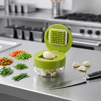 Presse-ail, coupe-ail et hachoir en acier inoxydable, portable, avec rangement, pour la cuisine à domicile