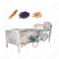 Machine à laver entièrement automatique Câpres Feuilles de basilic Feuille de manioc Nettoyage à bulles