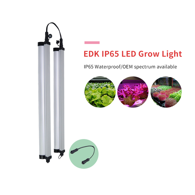 LED Full Spectrum Indoor Grow Light for Bloom Seedlings Microgreens & Herbs-Energy Saving & High Efficiency