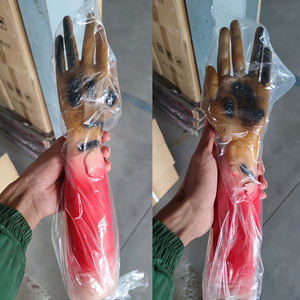 Medisch Onderwijs <span class=keywords><strong>Trauma</strong></span> Ledemaat Model Cardiopulmonale Reanimatiesimulator Mens Speciale Traumamodule Burn Traan Lokaal Model - Product Image 6