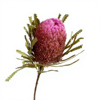 Bouquet de fleurs séchées fait main de style nordique, inspiré d'Instagram, avec des banksias séchées pour vase de salon et décorations de centre commercial
