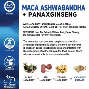 24 aylık raf ömrü-Maca kök Ginseng özü-erkek hormonu dengesi Gummies-erkek Maca takviyesi - Product Image 5