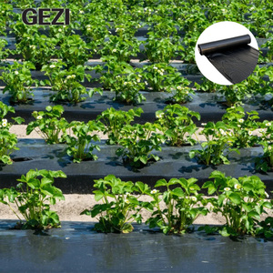 Film de paillage perforé pour le contrôle des mauvaises herbes, protection des plantes d'extérieur, des melons, des légumes et des fraises en agriculture - Product Image 2