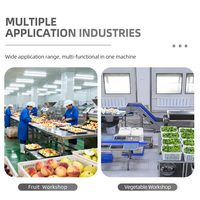 Continue reinigings industriële roterende trommelwasmachine met voedselveilige roestvrijstalen onderdelen voor de verwerking van fruit en groenten