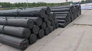 Tela Geotextil de Poliéster Tejida, Geotextil para Semillas de Césped, Geotextil Biodegradable, Precio de Fábrica para Protección Ecológica de Taludes - Product Image 4