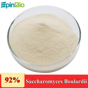 <span class=keywords><strong>Levure</strong></span> de <span class=keywords><strong>levure</strong></span> 92% de qualité alimentaire - Product Image 5