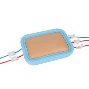 Modèle de moule de peau en PVC de pratique d'infirmière médicale pour l'échantillonnage de sang et l'injection <span class=keywords><strong>intraveineuse</strong></span> pour la formation en sciences médicales - Product Image 6