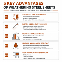 Tôle en acier Corten 2-3 mm ASTM A588 A242, tôle d'acier résistante aux intempéries pour aménagement paysager, bardage, façade de bâtiment extérieur, taille personnalisée