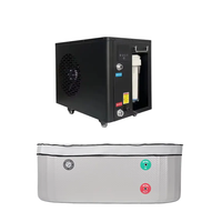 Ozone UV 0.5HP 1HP 1.5HP Plunge Tub Chiller Pompe à eau intégrée Filer Bain de glace Refroidisseur d'eau Glace Refroidisseur d'eau
