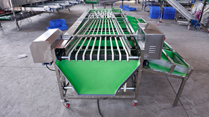 Trieuse orbitale à rouleaux pour pruneaux, ligne de tri multi-niveaux de type rail pour noisettes et agrumes, calibrage du diamètre - Product Image 6