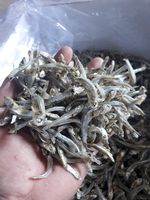 Anchois séchés de qualité supérieure, grade A, avec sel, congélation IQF, emballage sous vide, origine Vietnam, emballage en vrac de 12 kg