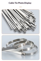 Abrazaderas de Cable de Acero Inoxidable 304L de 4.6x750mm, Abrazaderas Metálicas Resistentes para la Industria de Petróleo y Energía